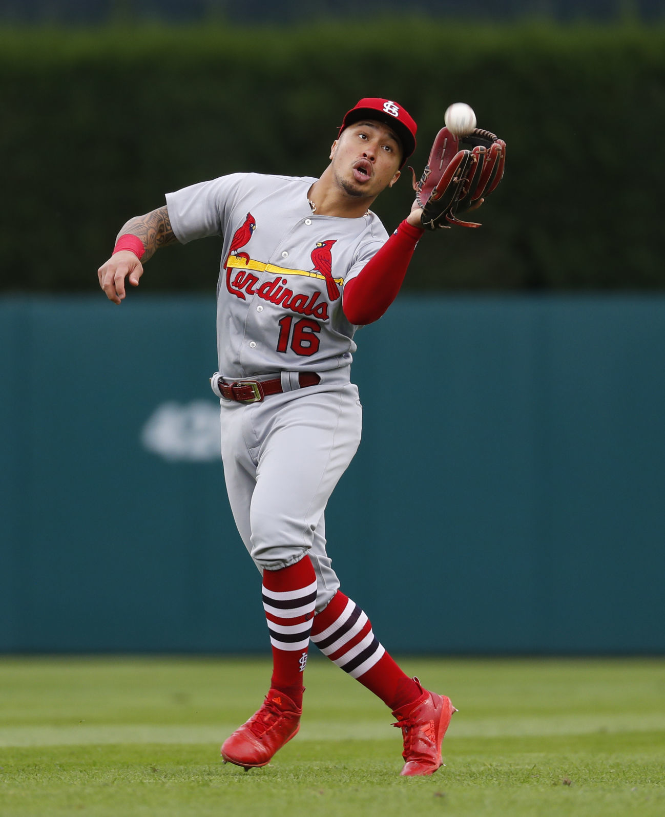 Cardinals Tigers Baseball